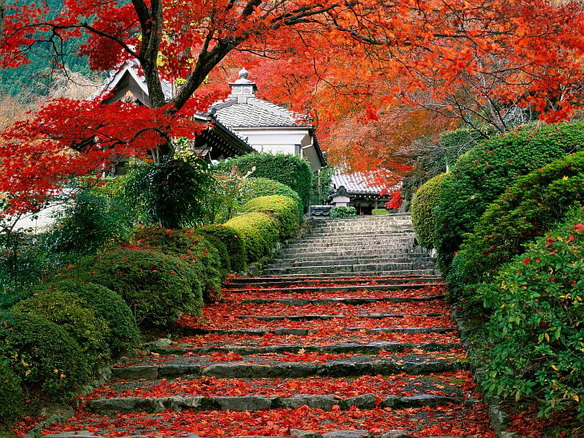 Лучшем туристическим направлением 2012 года признана Япония