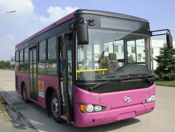 Розовый автобус для женщин в Стамбуле