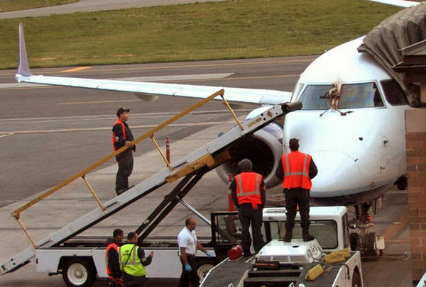 Экстренная посадка Embraer 190 из-за столкновения с гусями в США